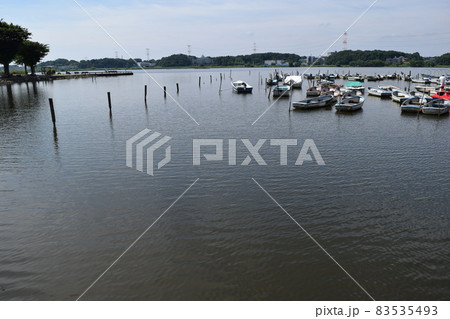 手賀沼 利根川水系 83535493