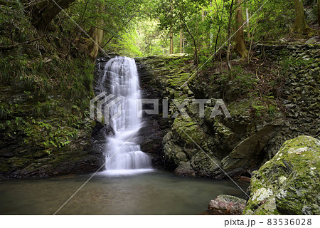 観音滝（徳島県名西郡神山町） 83536028