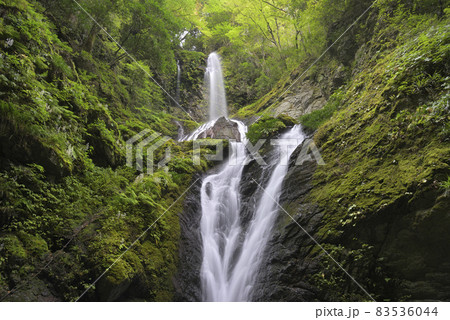 雨乞の滝(徳島県名西郡神山町) 雨乞の滝(徳島県名西郡神山町) 83536044