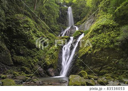 雨乞の滝(徳島県名西郡神山町) 雨乞の滝(徳島県名西郡神山町) 83536053