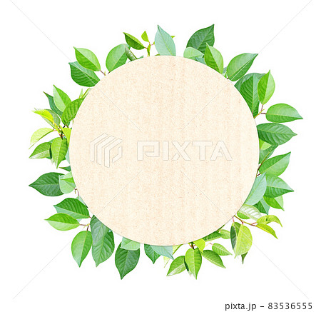 Green leaves and round recycled paper label. Isolated on white background 83536555