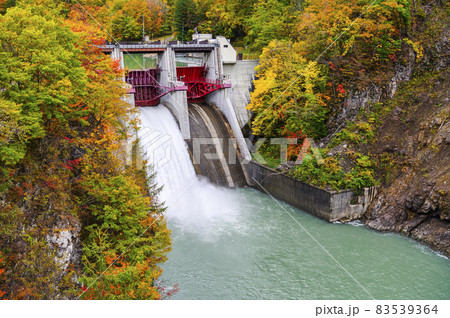 見頃を迎えた沙流川渓谷 岩知志ダムの紅葉（北海道 日高） 83539364
