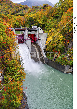 見頃を迎えた沙流川渓谷 岩知志ダムの紅葉（北海道 日高） 83539365