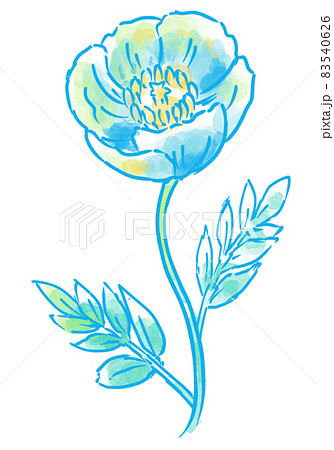 チラシや広告やアイコンに使える春に咲くポピーの花畑② 83540626