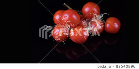 A branch of ripe tomatoes lies on a black background with splashes of water. Copy Space A branch of ripe tomatoes lies on a black background with splashes of water. Copy Space 83540996