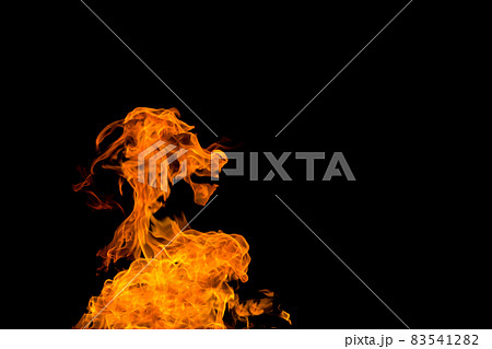 Fire in the shape of a goat's muzzle. Fire flames on black background isolated. fire patterns 83541282