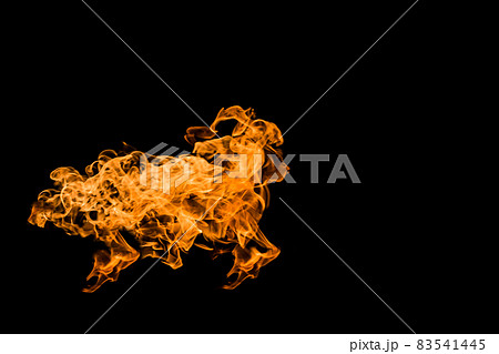 Fire a flame in the shape of a lamb or a sheep. Fire flames on black background isolated. fire patterns 83541445