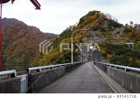 紅葉の奥胎内・胎内川ダム 紅葉の奥胎内・胎内川ダム 83541716