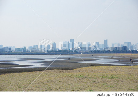 三枚洲の干潟（葛西海浜公園）／東京都江戸川区 83544830