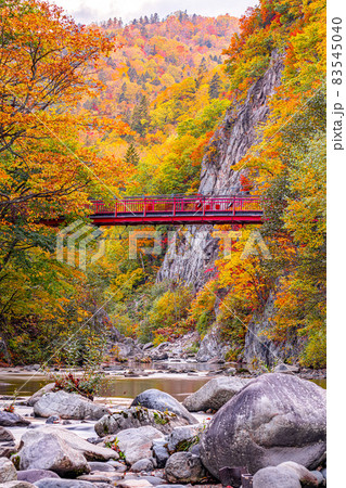 北海道　定山渓　紅葉　秋 83545040