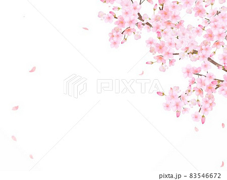 美しく華やかな満開の桜の花と花びら舞い散る春のフレームベクター素材イラストのイラスト素材 美しく華やかな満開の桜の花と花びら舞い散る春のフレームベクター素材イラストのイラスト素材