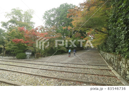 参道 参道 83546736