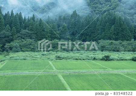 初夏の田園風景 83548522