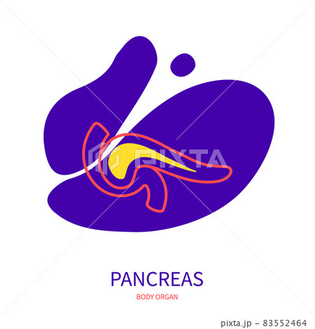 Pancreas endocrine and digestive systems organ outline icon 83552464