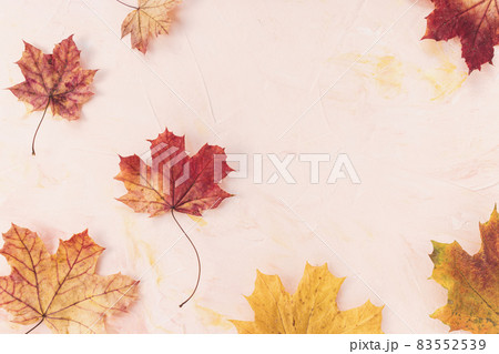 Red and yellow maple leaves on pink background. Autumn flat lay. Banner or message board template. Copy space 83552539