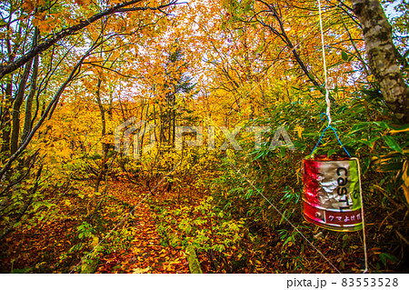 秋田県 八幡平・大沼の紅葉 秋田県 八幡平・大沼の紅葉 83553528