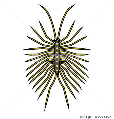 ゲジゲジ 83554352