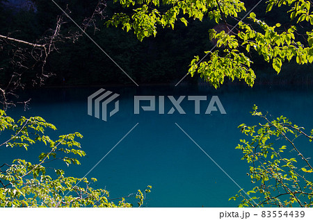 Lake with clear turquoise water, National park Plitvice Lakes, Croatia Lake with clear turquoise water, National park Plitvice Lakes, Croatia 83554439