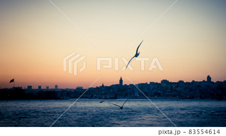 Sunset over Bosphorus and a seagull in focus with Istanbul cityscape Sunset over Bosphorus and a seagull in focus with Istanbul cityscape 83554614