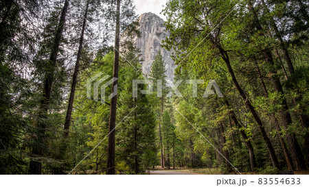 Yosemite National Park Panoramic landscape 83554633