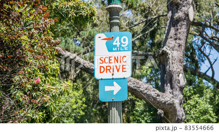 Road sign for Scenic Drive County Road hanging on a pole Road sign for Scenic Drive County Road hanging on a pole 83554666
