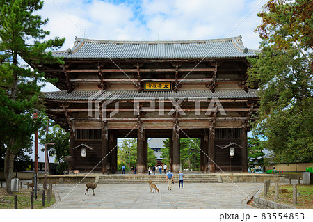 東大寺南大門と鹿 83554853