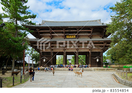 東大寺南大門と鹿 83554854