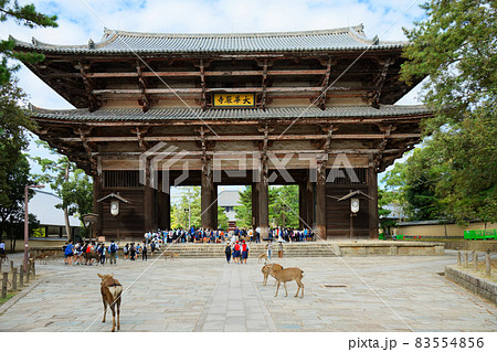 東大寺南大門と鹿 東大寺南大門と鹿 83554856