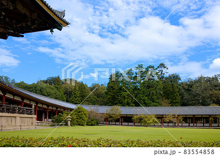東大寺大仏殿　廻廊と青空 83554858