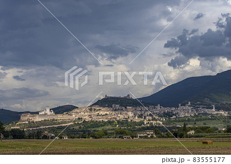 Panoramic view of Assisi old town, Province of Perugia, Umbria region, Italy 83555177
