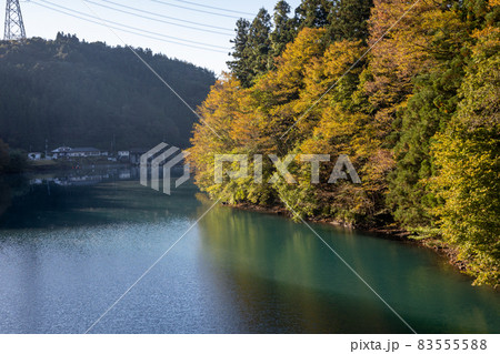 秋の四万湖 群馬県中之条町 秋の四万湖 群馬県中之条町 83555588