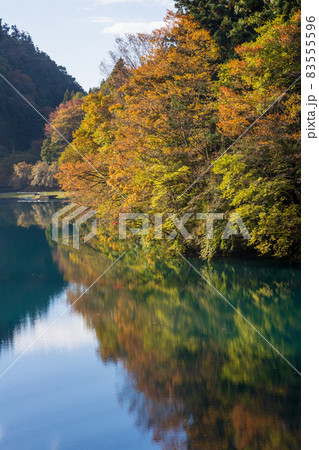 秋の四万湖 群馬県中之条町 秋の四万湖 群馬県中之条町 83555596