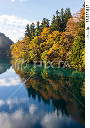 秋の四万湖　群馬県中之条町 83555615