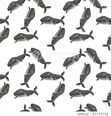 Seamless pattern with whales on a white background. Vector graphic 83555726