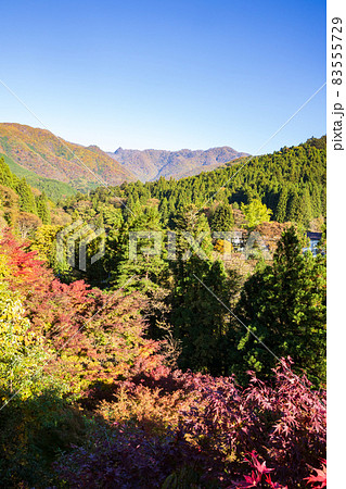 四万温泉の紅葉　群馬県 83555729