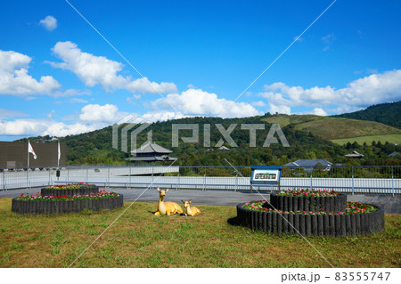 奈良県庁より東大寺大仏殿を望む 83555747