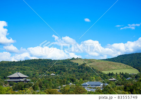 奈良県庁より東大寺大仏殿を望む 奈良県庁より東大寺大仏殿を望む 83555749