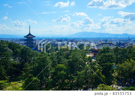 奈良県庁より興福寺 五重塔を望む 奈良県庁より興福寺 五重塔を望む 83555753