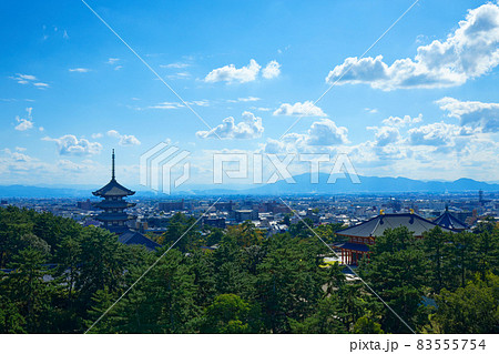 奈良県庁より興福寺 五重塔を望む 奈良県庁より興福寺 五重塔を望む 83555754