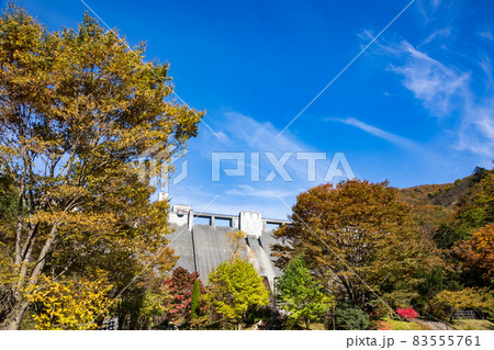 日向見公園と四万川ダム 群馬県四万温泉 日向見公園と四万川ダム 群馬県四万温泉 83555761