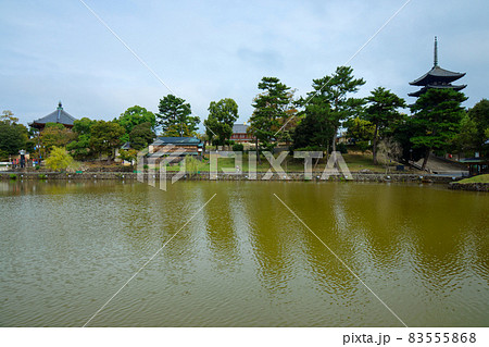 興福寺 五重塔と猿沢池 興福寺 五重塔と猿沢池 83555868