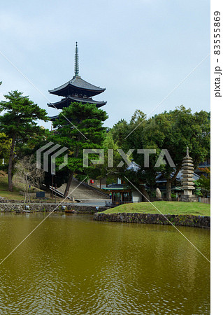 興福寺 五重塔と猿沢池 興福寺 五重塔と猿沢池 83555869