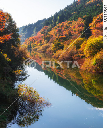 茨城県北茨城市 水沼ダムの紅葉とリフレクション 茨城県北茨城市 水沼ダムの紅葉とリフレクション 83556345