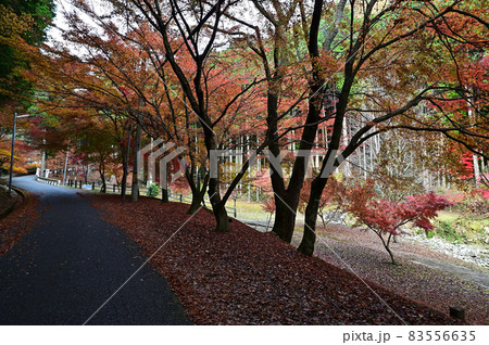 石龕寺の紅葉 石龕寺の紅葉 83556635