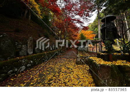 石龕寺の紅葉 83557365