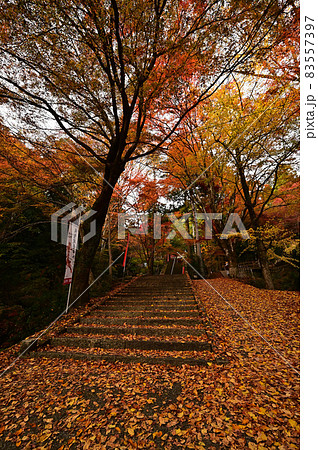 石龕寺の紅葉 83557397