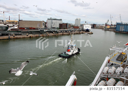 カモメが群れるヘルシンキの港湾風景 83557554