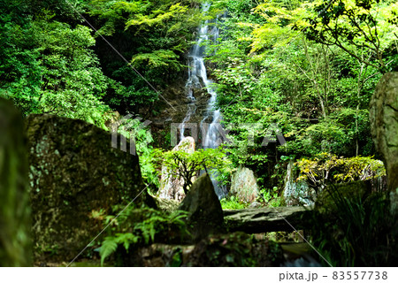 梵音の滝 83557738