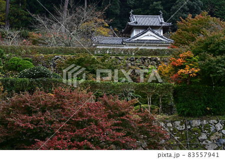 出石城の紅葉 83557941