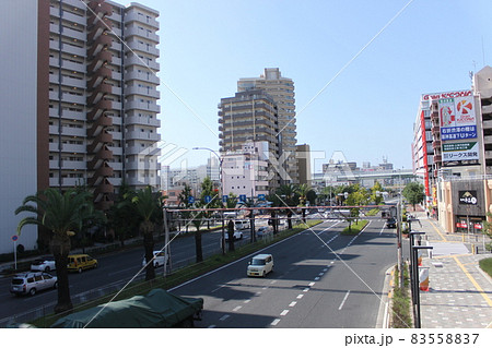 堺市フェニックス通り 83558837